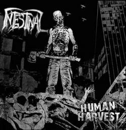 Intestinal : Human Harvest